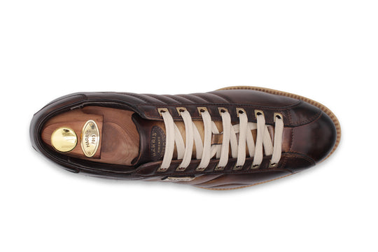 Leder -Turnschuhe