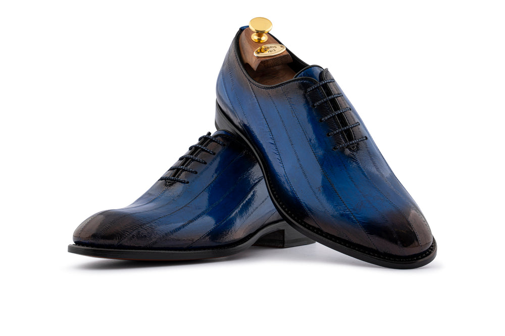 Cordones anguila azul eléctrico