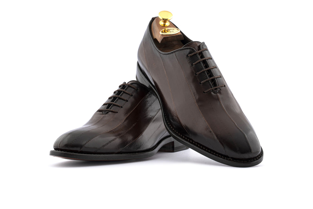 Cordones de anguila Testa di Moro