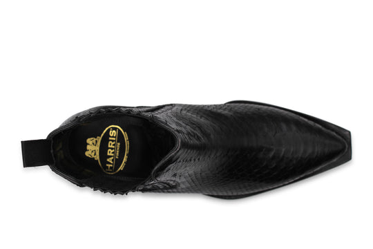 Polacchino texano pitone